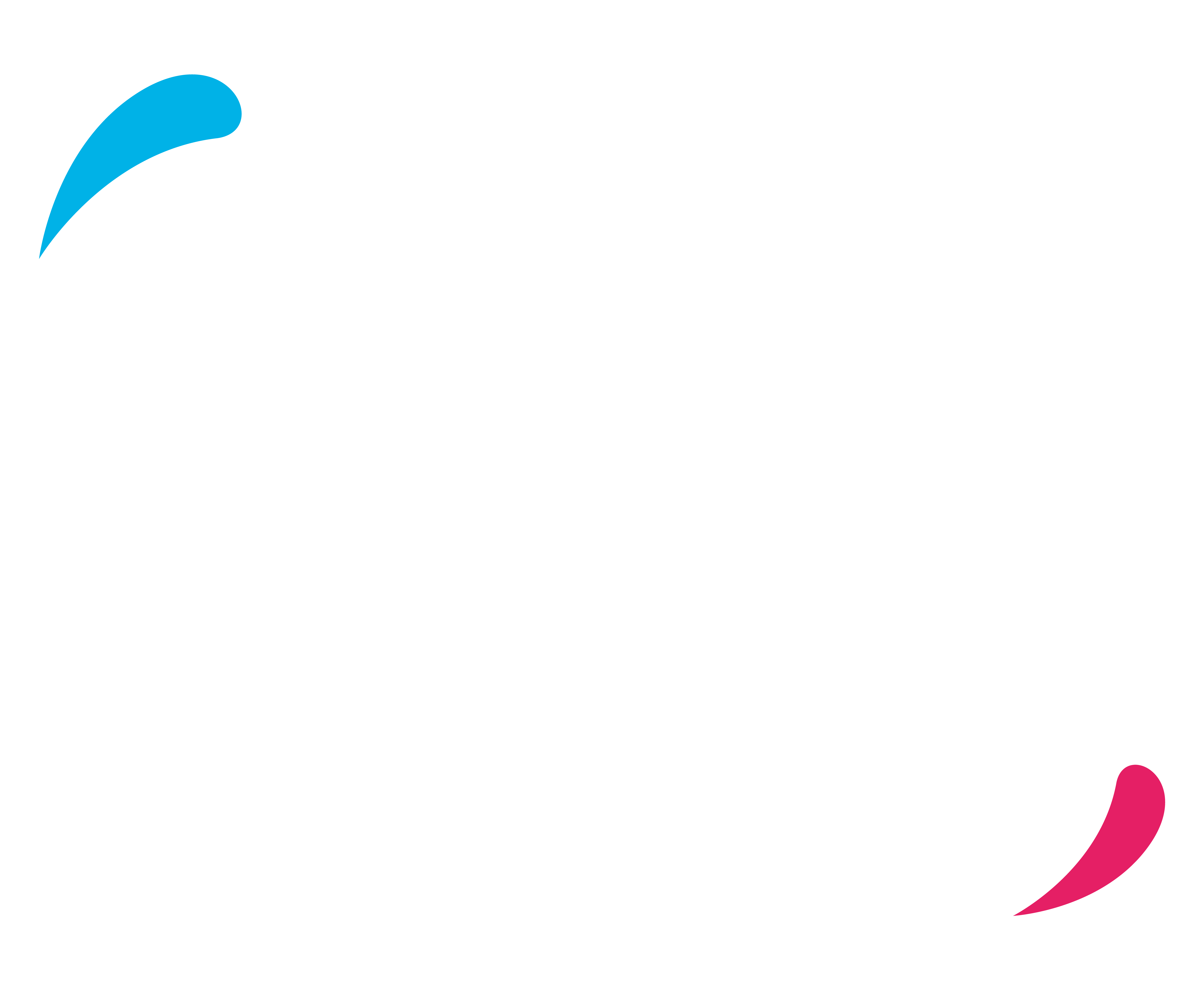 Aventura en movimiento